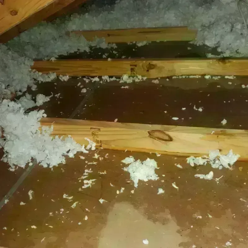 Attic Water Damage in Hart County, GA