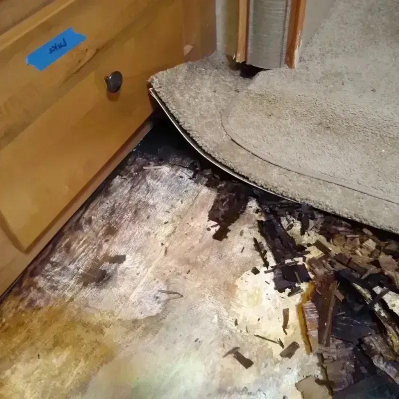 Wood Floor Water Damage in Hart County, GA